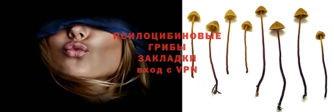 таблы Богородицк