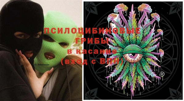 молекула духа Богородск