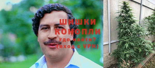 молекула духа Богородск