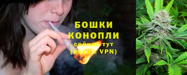 таблы Богородицк