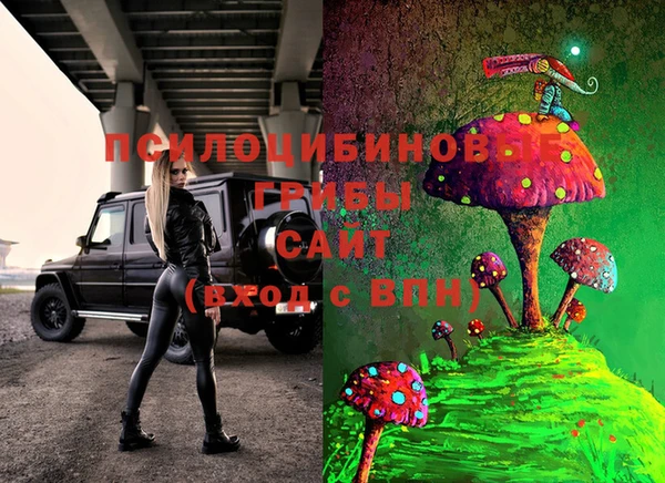 таблы Богородицк